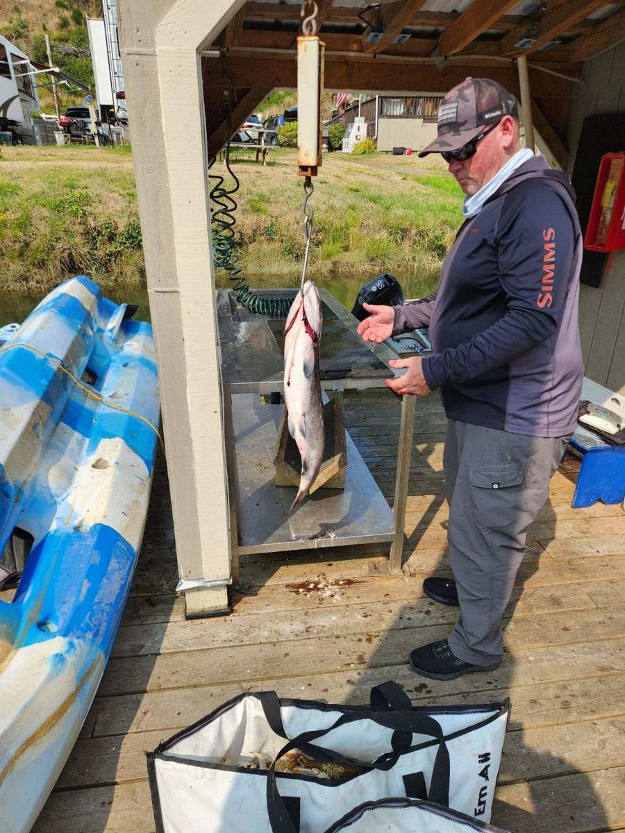 Captain Bryan Myers weighing a salmon at the dock